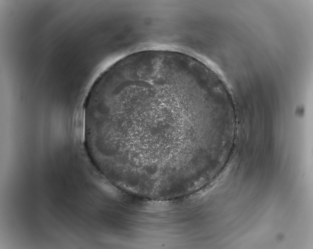 X0000102351223200808151743