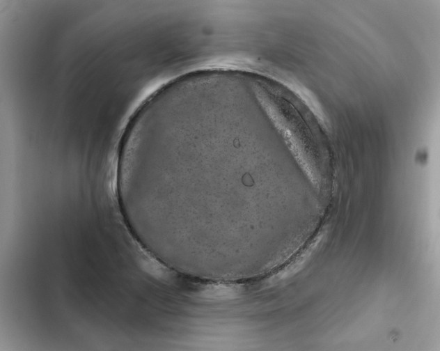 X0000102351224200808151743