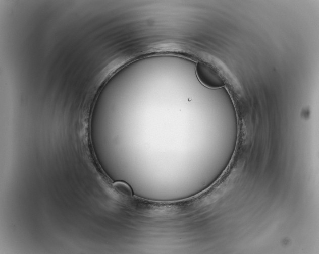 X0000102351225200808151743