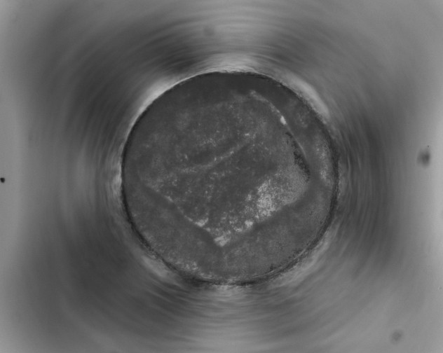 X0000102351226200808151743