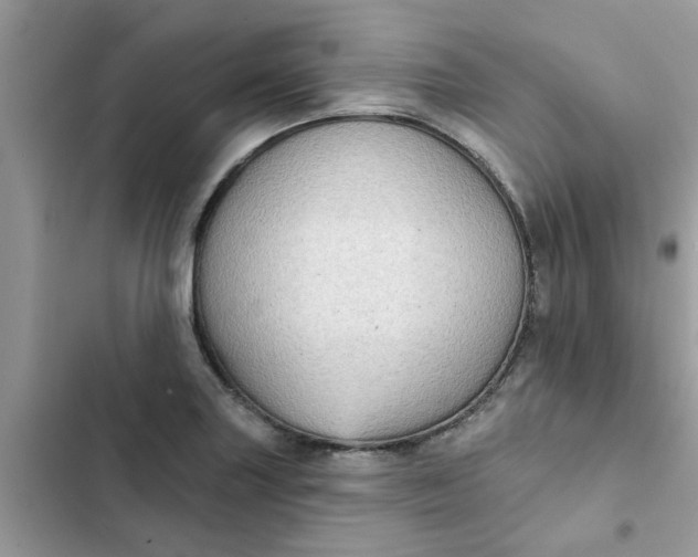 X0000102351227200808151743