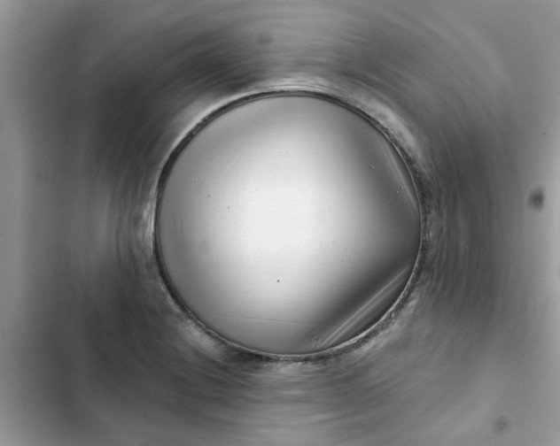 X0000102351228200808151743