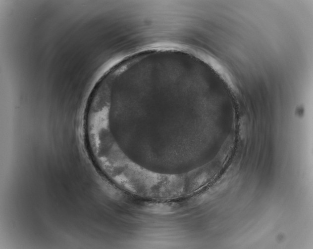 X0000102351229200808151743