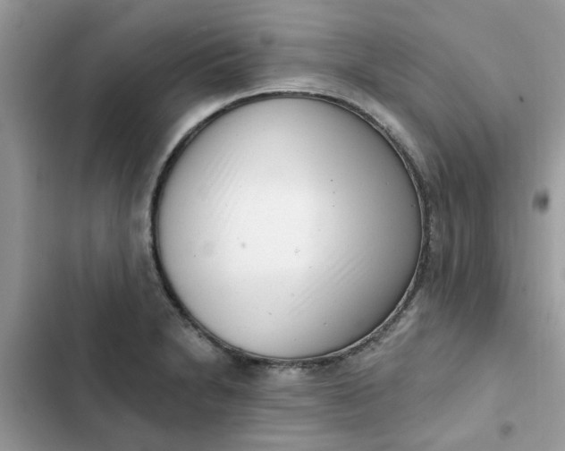 X0000102351230200808151743