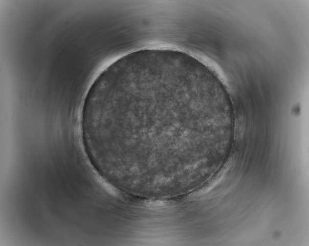 X0000102351231200808151743