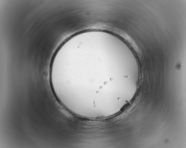 X0000102351232200808151743