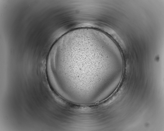 X0000102351233200808151743