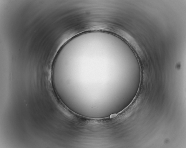 X0000102351234200808151743