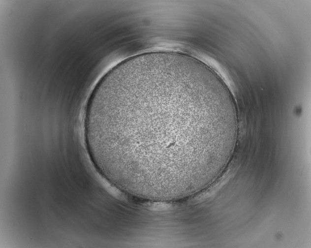 X0000102351235200808151743