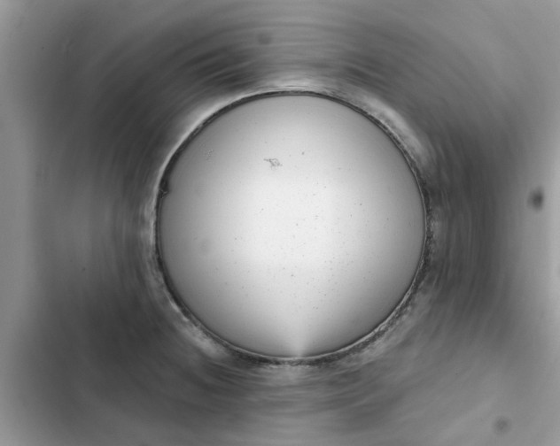 X0000102351236200808151743