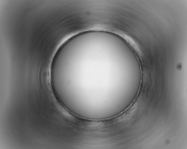 X0000102351238200808151743