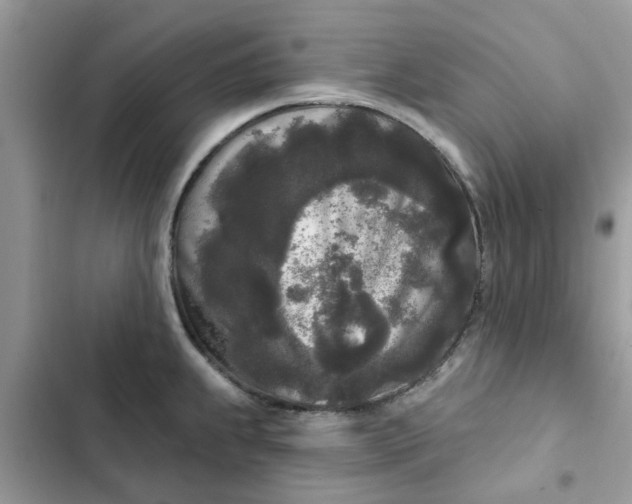 X0000102351239200808151743