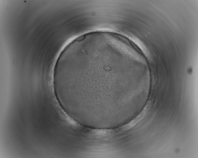 X0000102351240200808151743