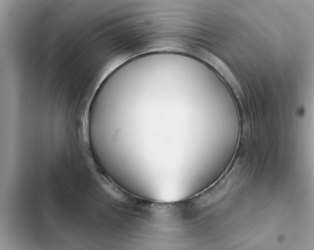 X0000102351242200808151743