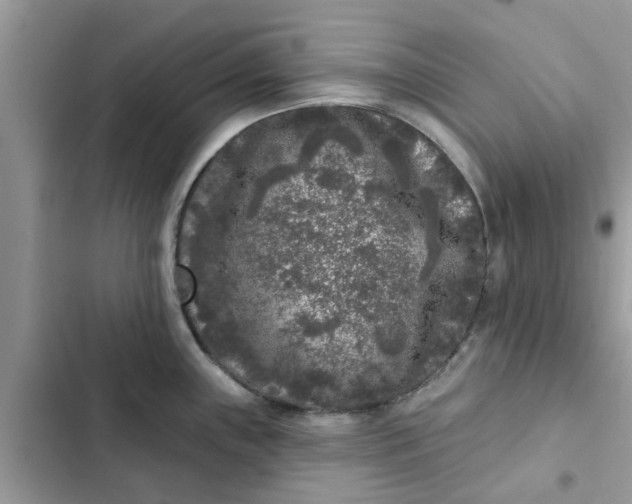 X0000102351243200808151743