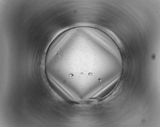 X0000102351244200808151743