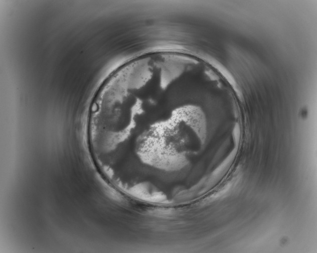 X0000102351245200808151743