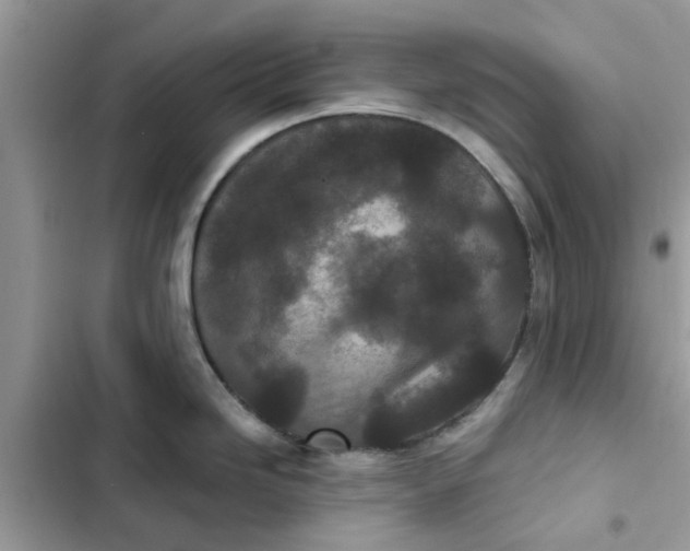 X0000102351246200808151743