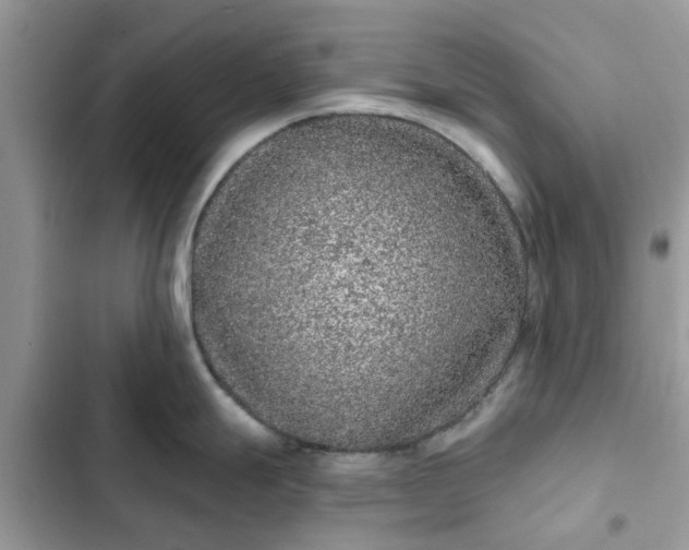 X0000102351247200808151743