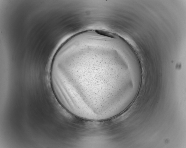 X0000102351248200808151743