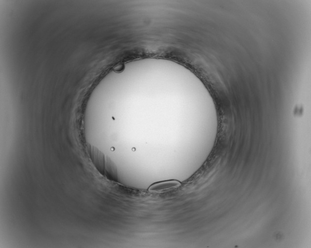 X0000102351249200808151742