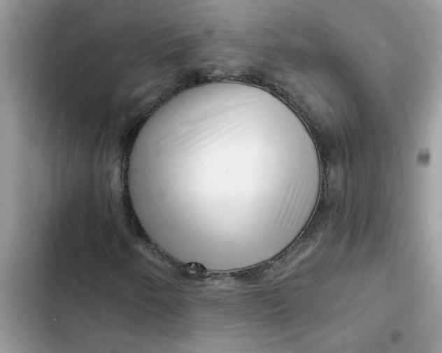 X0000102351250200808151742