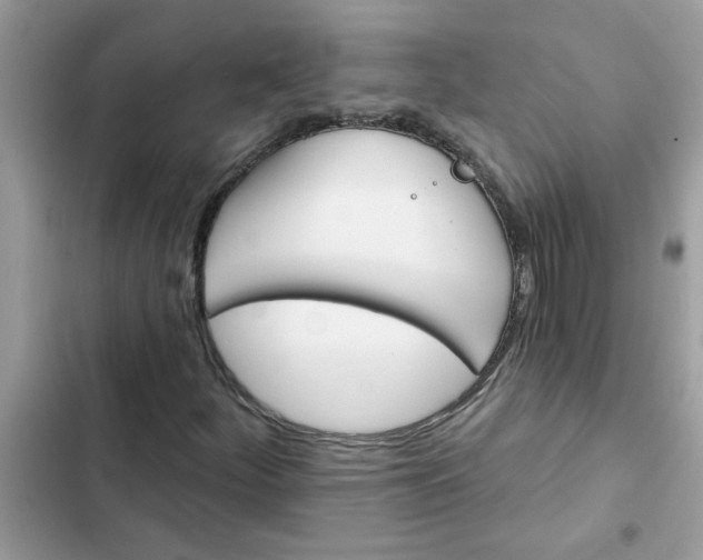 X0000102351252200808151742