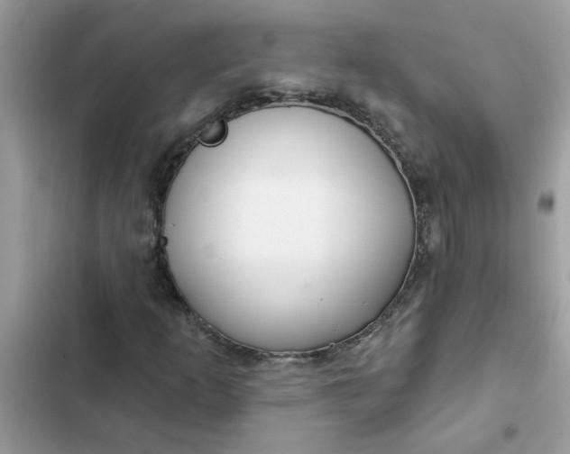 X0000102351253200808151742