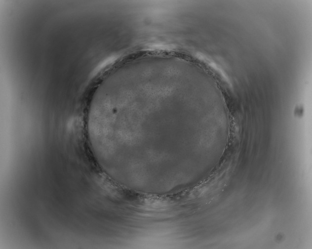 X0000102351254200808151742