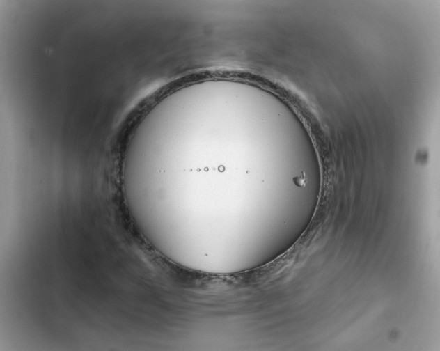 X0000102351255200808151742