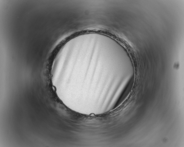 X0000102351256200808151742