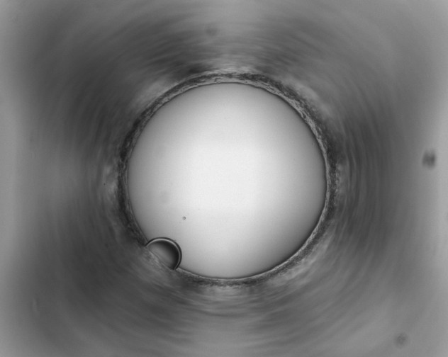 X0000102351257200808151742