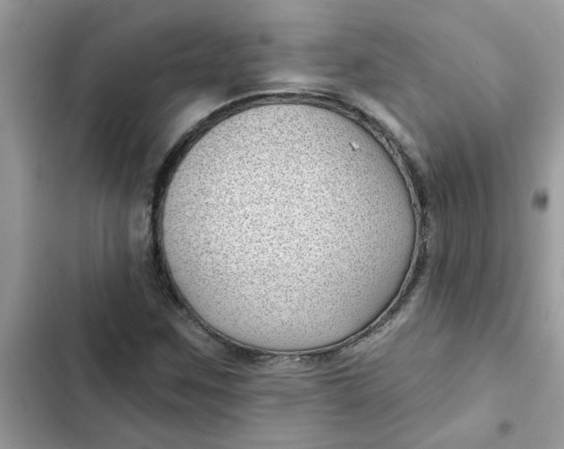 X0000102351259200808151742