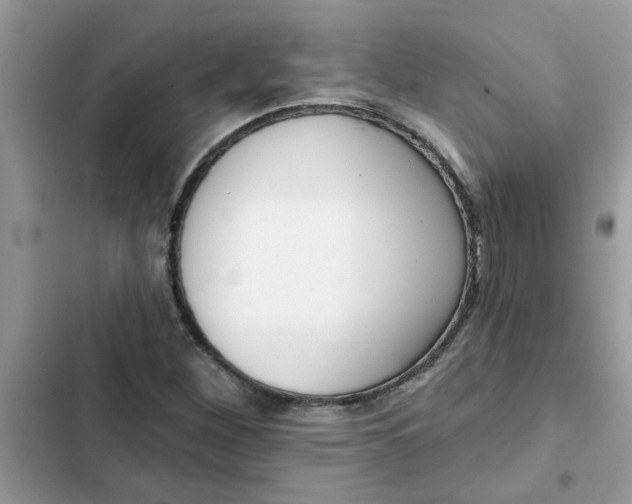 X0000102351260200808151742