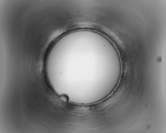 X0000102351261200808151742