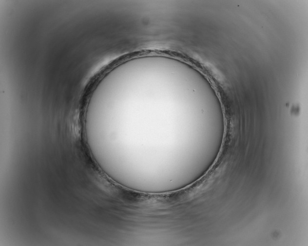 X0000102351262200808151742