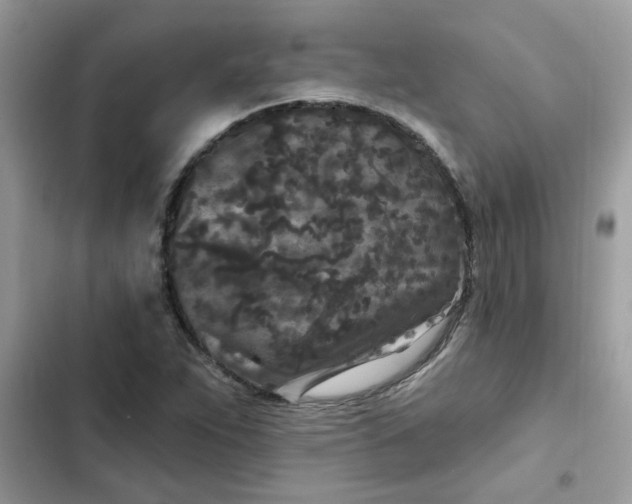 X0000102351263200808151742