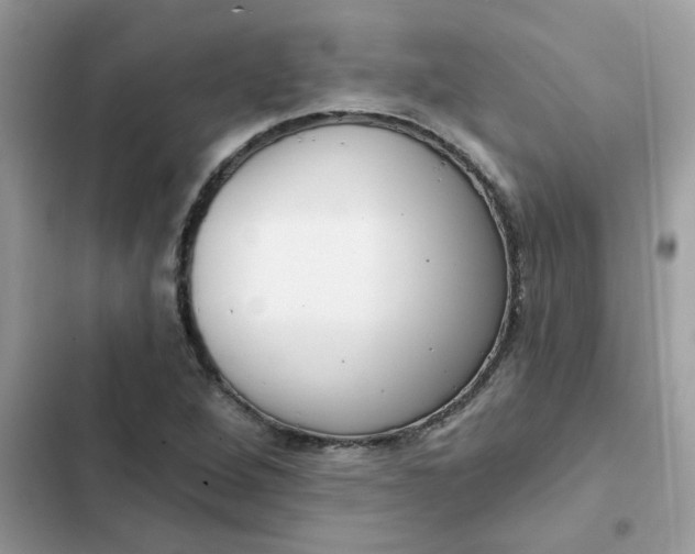 X0000102351264200808151742