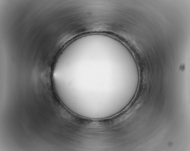 X0000102351265200808151742