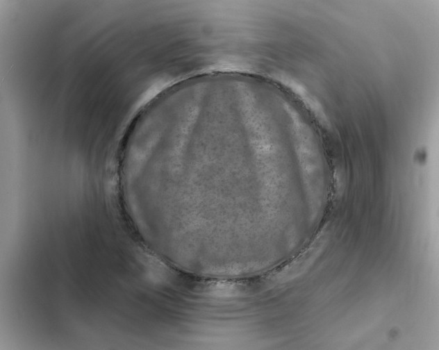 X0000102351266200808151742