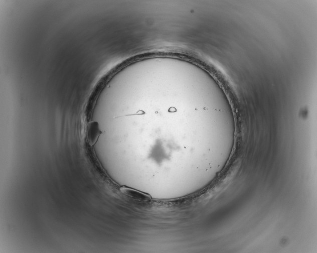 X0000102351267200808151742