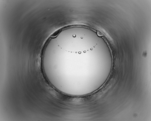 X0000102351268200808151742