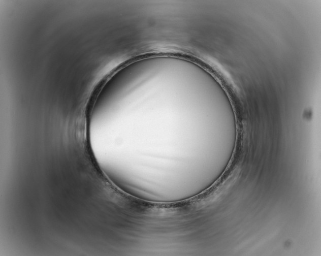 X0000102351269200808151742