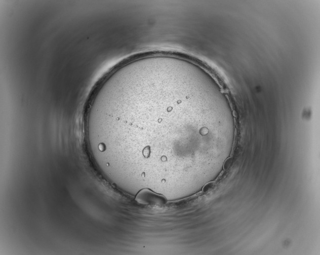 X0000102351271200808151742