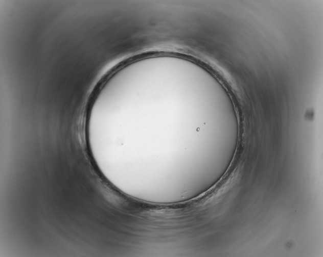 X0000102351272200808151742