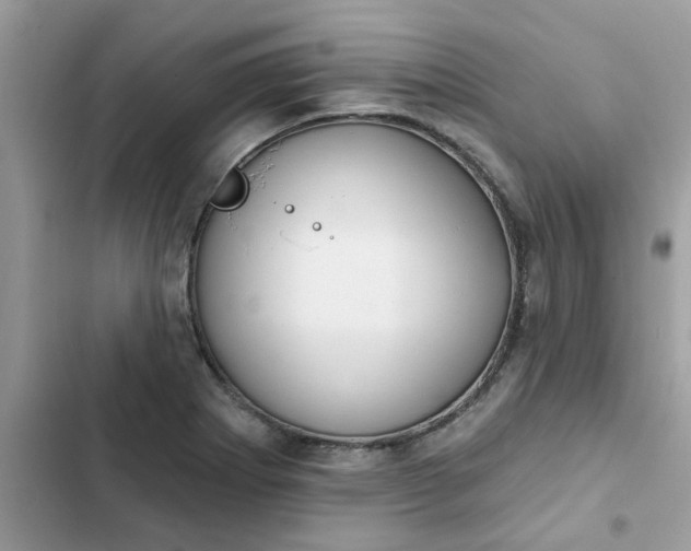 X0000102351273200808151742