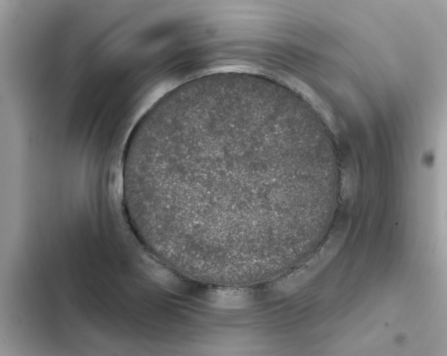 X0000102351274200808151742