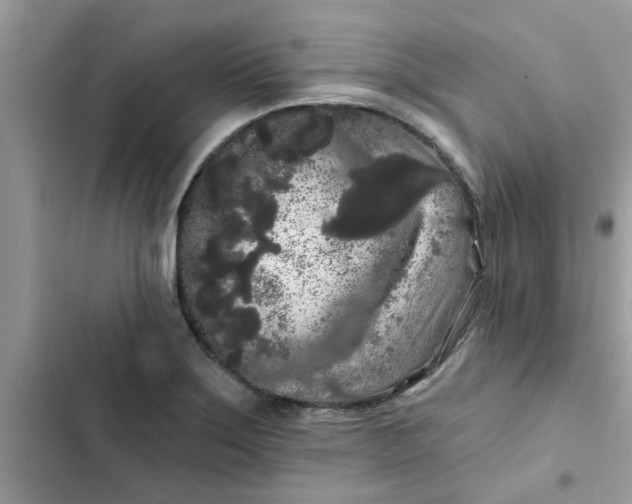 X0000102351275200808151742