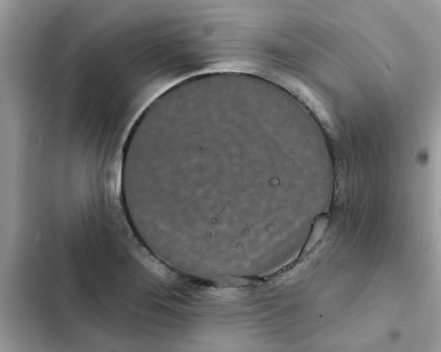 X0000102351276200808151742