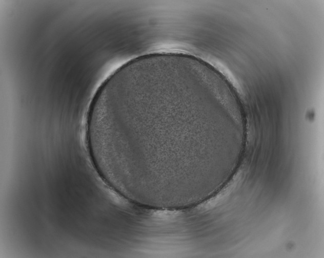 X0000102351277200808151742